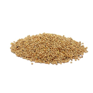 Falcon Seeds - White Millet