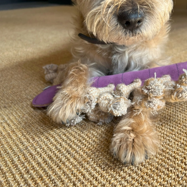 Georgie Paws - Gerti the Grub - Image 2
