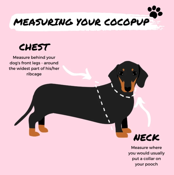 Cocopup London - Adjustable Neck Harness - Black Leopard - Image 3
