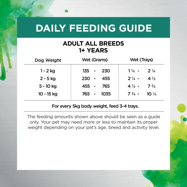 Ivory Coat - Wet Food Trays - Adult Dog - Inspired By Raw - Gut Health - Image 5
