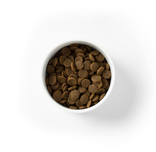 SavourLife - Adult Dog Large Breed - GRAIN FREE - Australian Ocean Fish & Salmon - Image 3