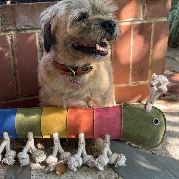 Georgie Paws - Giant Gerti the Grub - Image 3