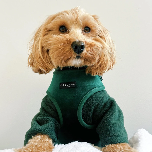 Cocopup London - LUXE Adjustable Neck Harness - Forest Green Velvet - Image 4
