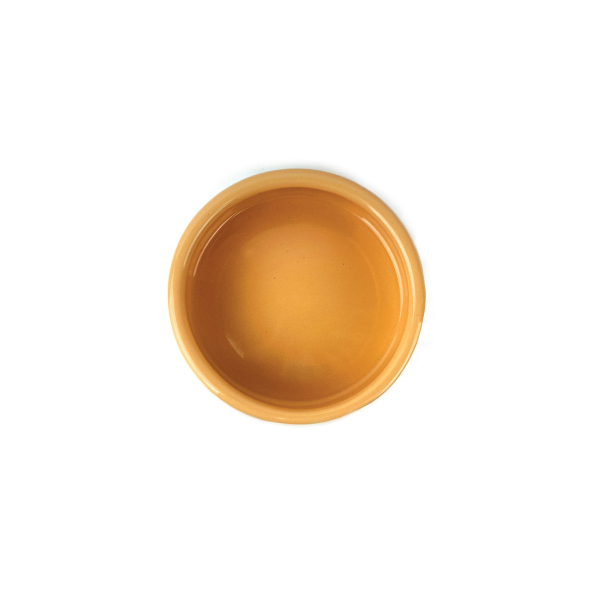 Pipsqueak - Ceramic Bowl - Carrot - Image 2