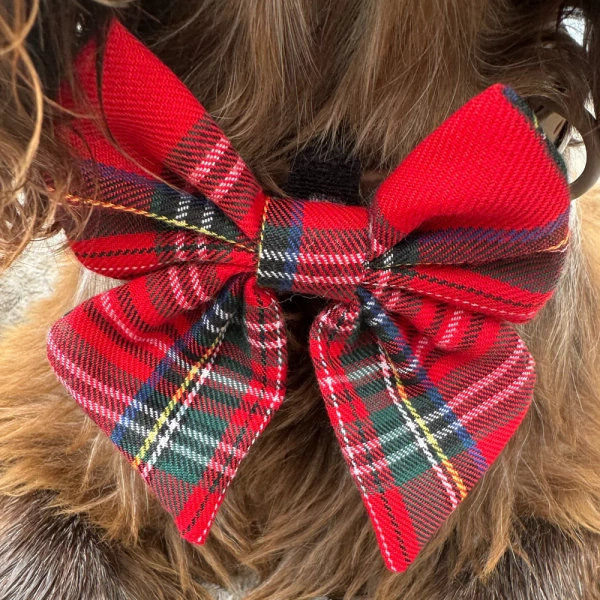 Cocopup London - Sailor Bow Tie - Tartan - Image 3