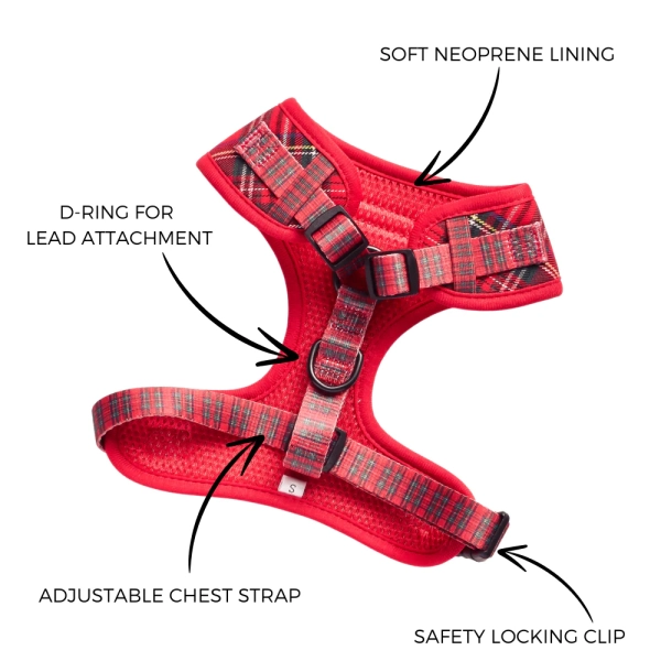 Cocopup London - Adjustable Neck Harness - Tartan - Image 4