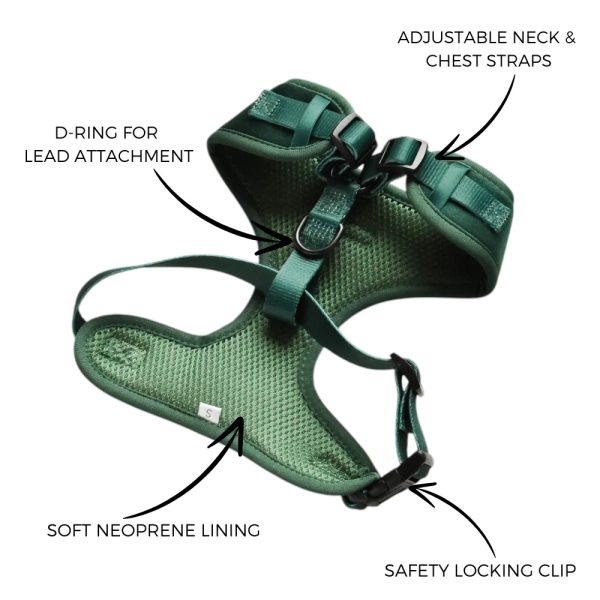 Cocopup London - LUXE Adjustable Neck Harness - Forest Green Velvet - Image 3