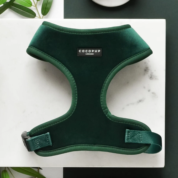 Cocopup London - LUXE Adjustable Neck Harness - Forest Green Velvet