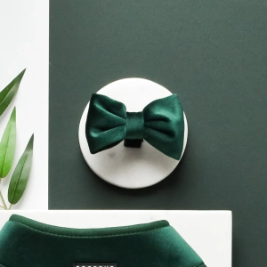 Cocopup London - LUXE Bow Tie - Forest Green Velvet