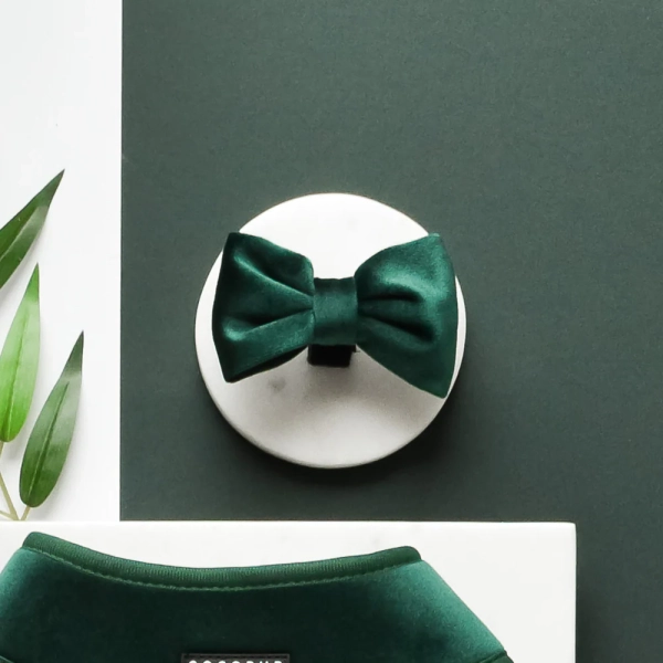 Cocopup London - LUXE Bow Tie - Forest Green Velvet
