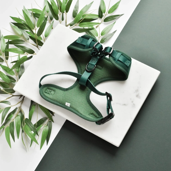 Cocopup London - LUXE Adjustable Neck Harness - Forest Green Velvet - Image 2