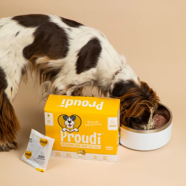 Proudi - Super Premium Raw Food for Dogs - Chicken - Image 4