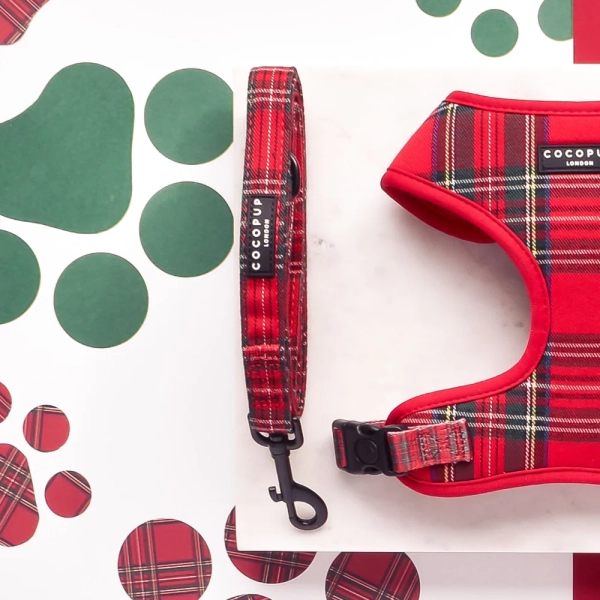 Cocopup London - Dog Lead - Tartan - Image 2
