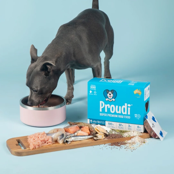 Proudi - Super Premium Raw Food for Dogs - Ocean Combo & Turkey - Image 4