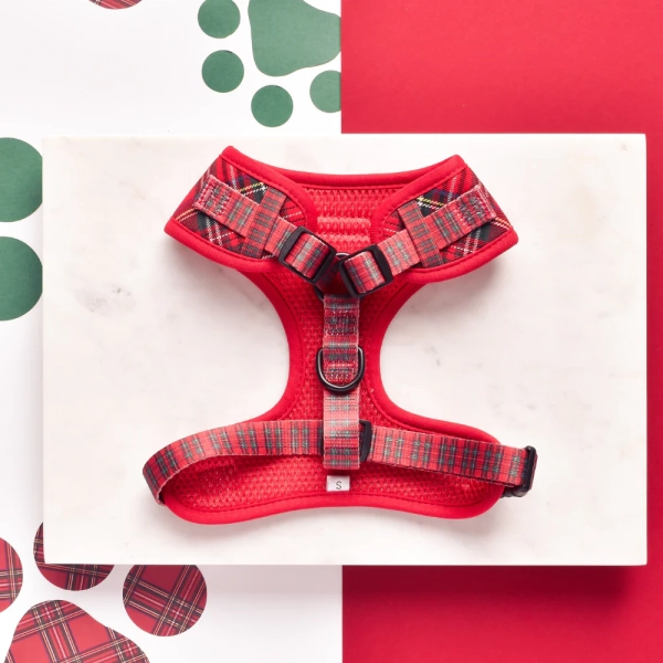 Cocopup London - Adjustable Neck Harness - Tartan - Image 5