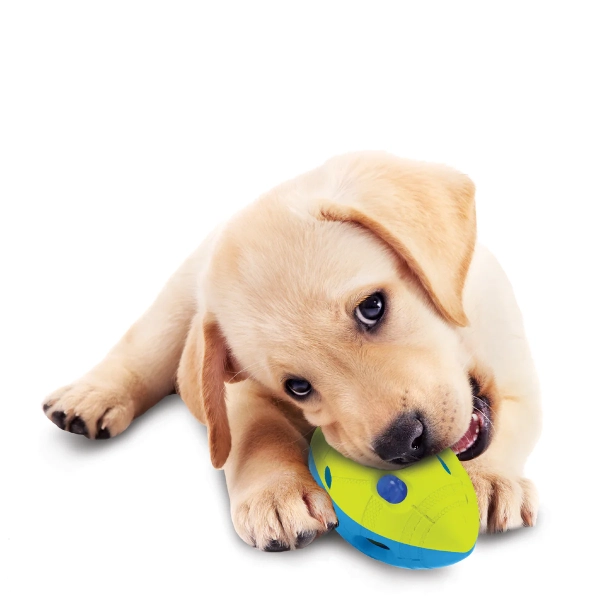NERF DOG - LED Football - Image 5