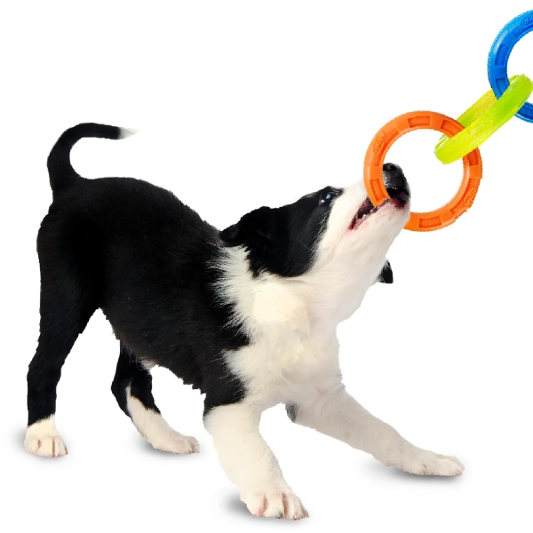NERF DOG - 3 Ring Tug - Image 4