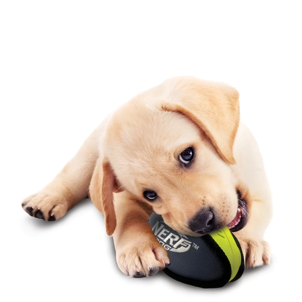 NERF DOG - Rubber/Nylon Plush Football - Image 5