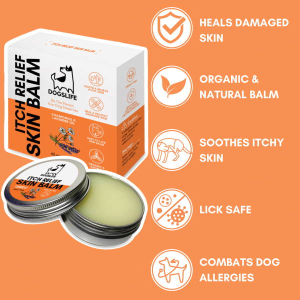 Dogslife - Soothe Skin Balm - Image 3