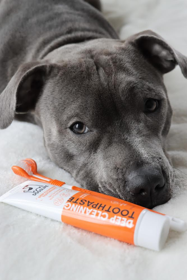 Dogslife - Deep Cleaning Toothpaste - Image 4